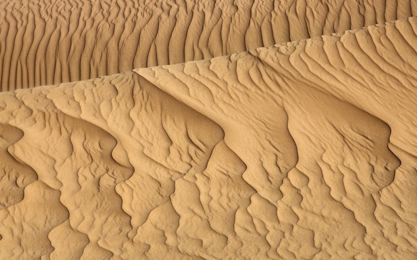Screenshot №1 pro téma Sahara Sands 1440x900