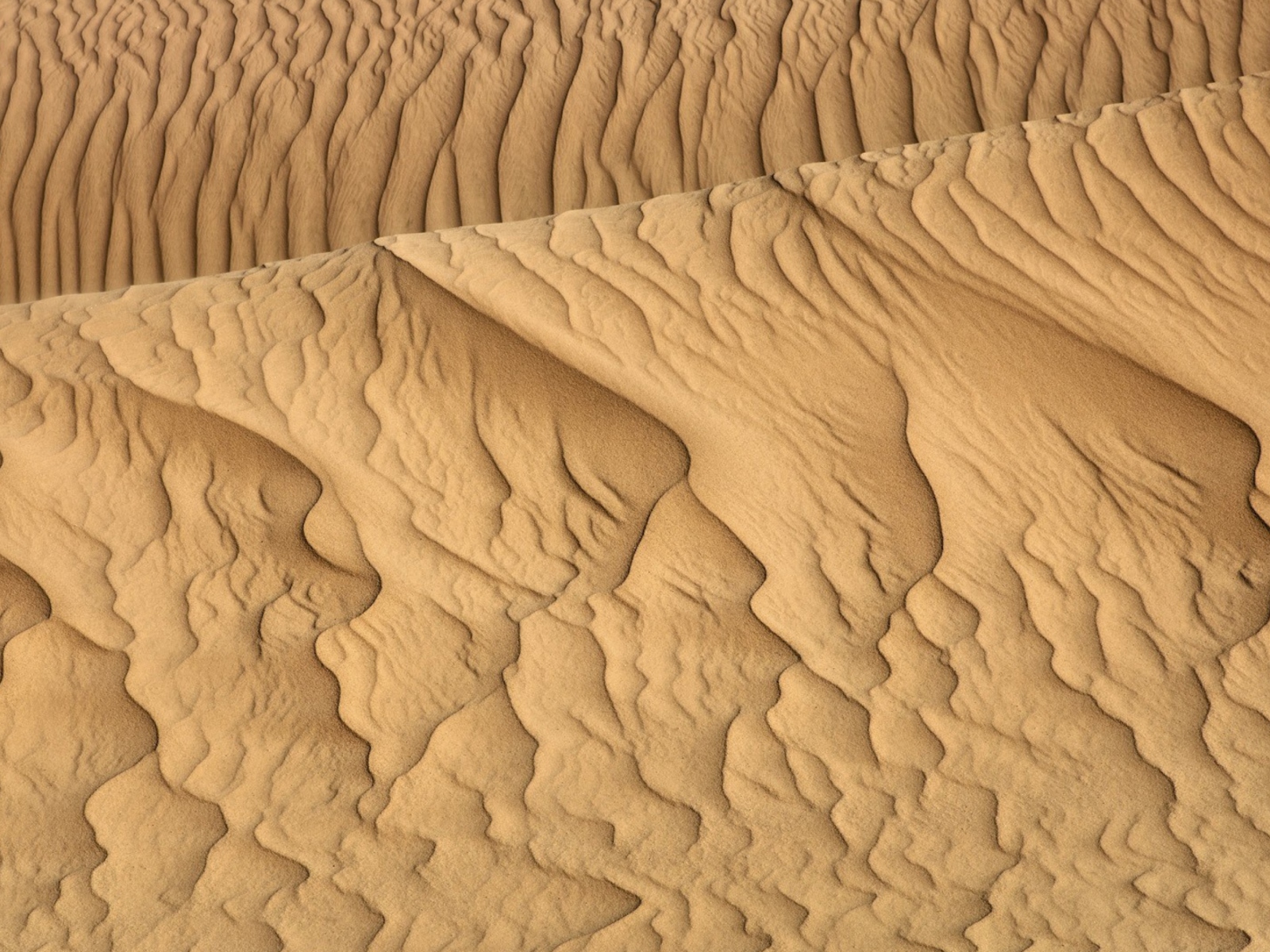 Screenshot №1 pro téma Sahara Sands 1600x1200