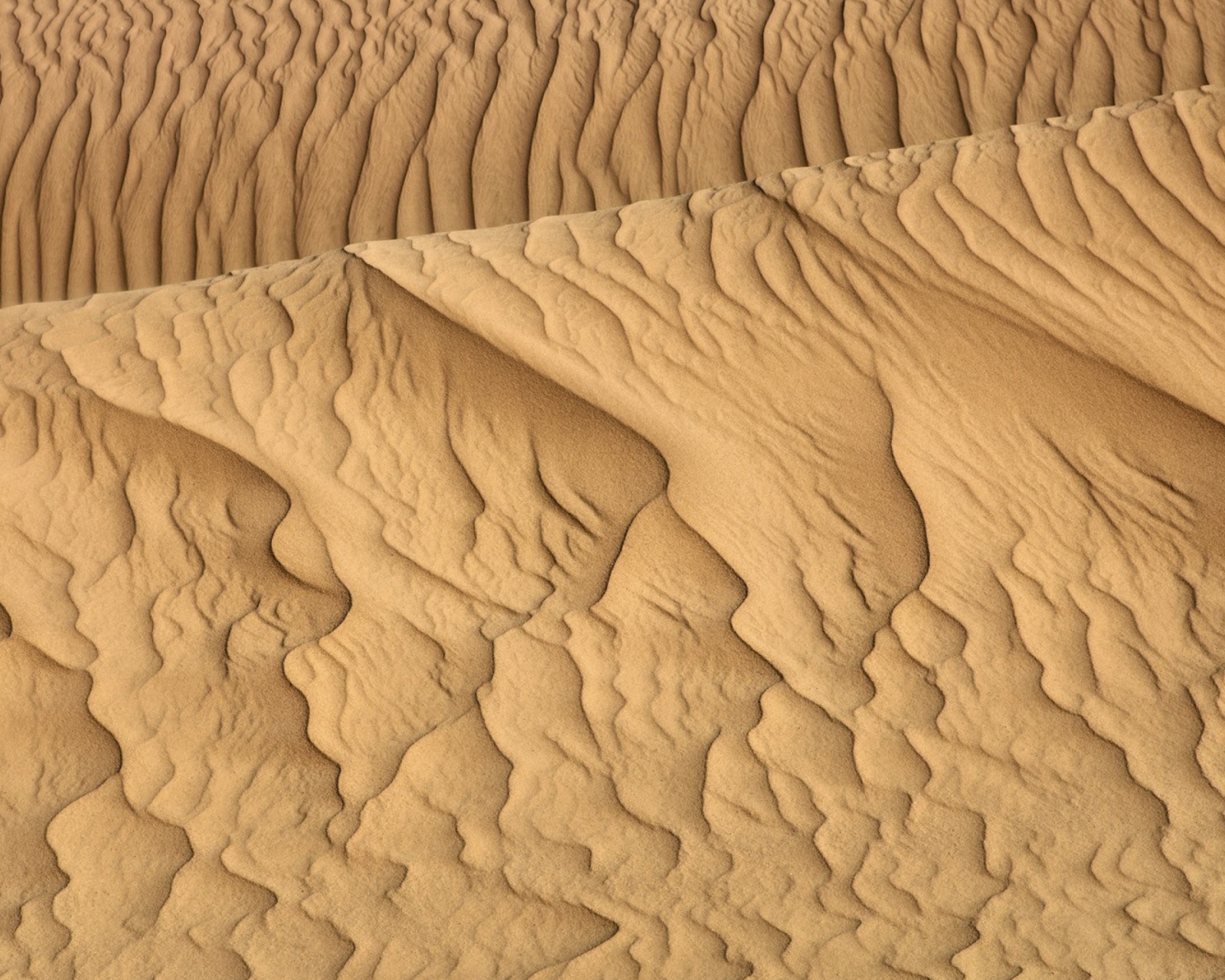 Fondo de pantalla Sahara Sands 1600x1280