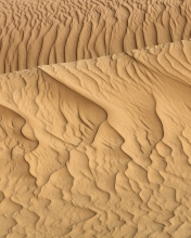 Das Sahara Sands Wallpaper 176x220