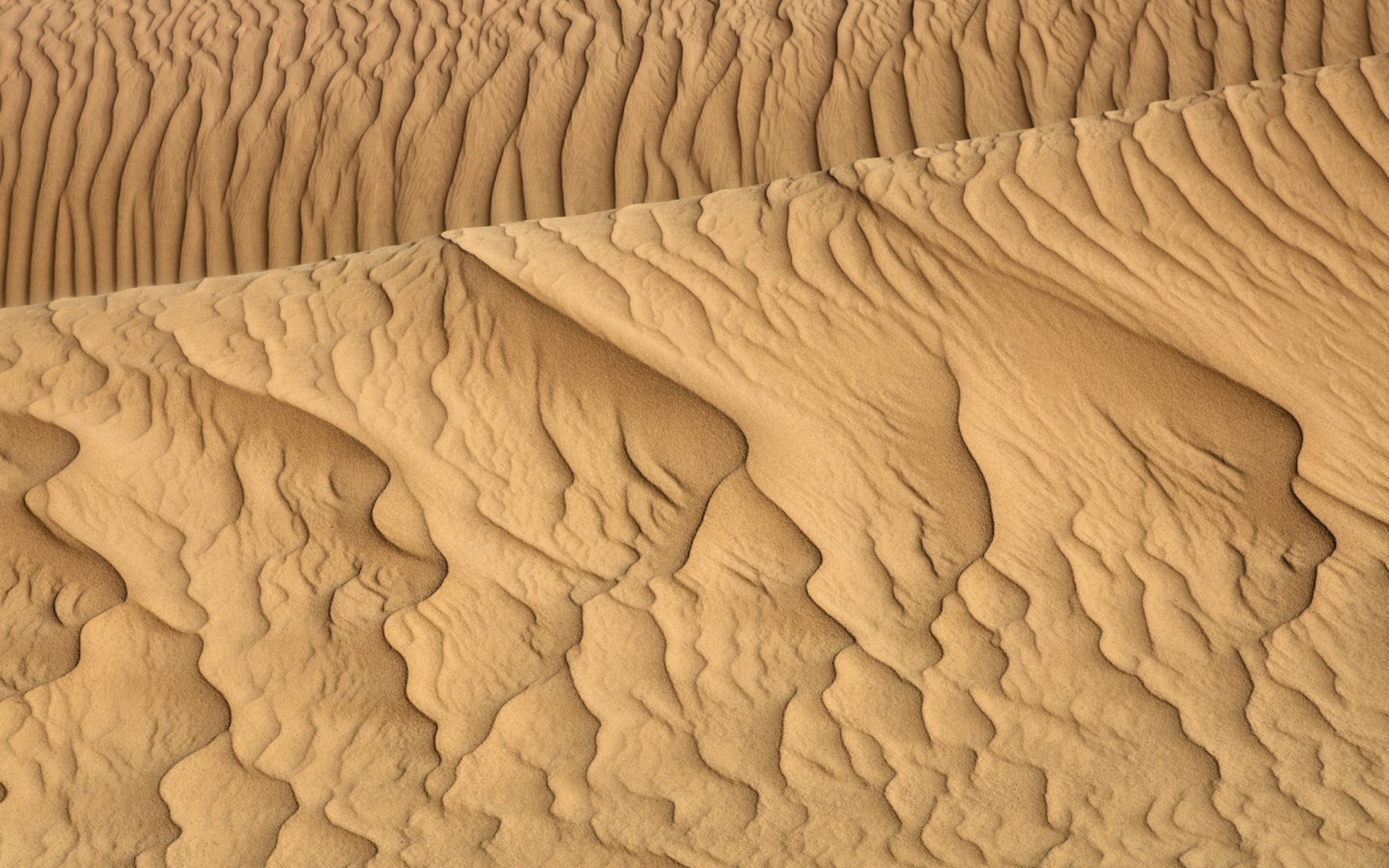 Das Sahara Sands Wallpaper 2560x1600