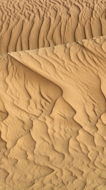 Обои Sahara Sands 360x640