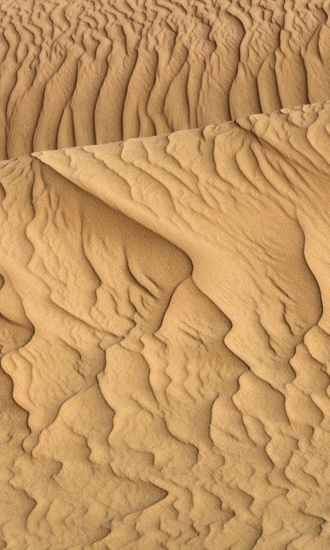 Das Sahara Sands Wallpaper 480x800