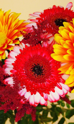 Das Gerbera Wedding Bouquet Wallpaper 240x400