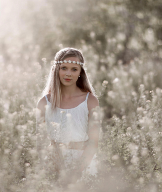 Romantic Girl In Summer Field - Obrázkek zdarma pro iPhone 6 Plus