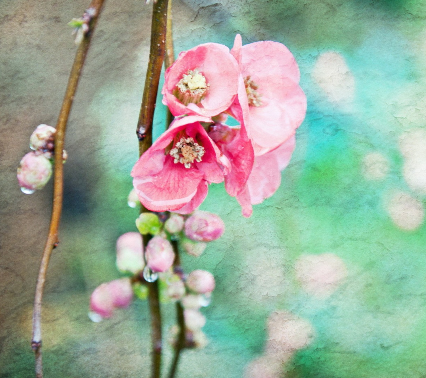 Spring Flowers Vintage Effect screenshot #1 1440x1280