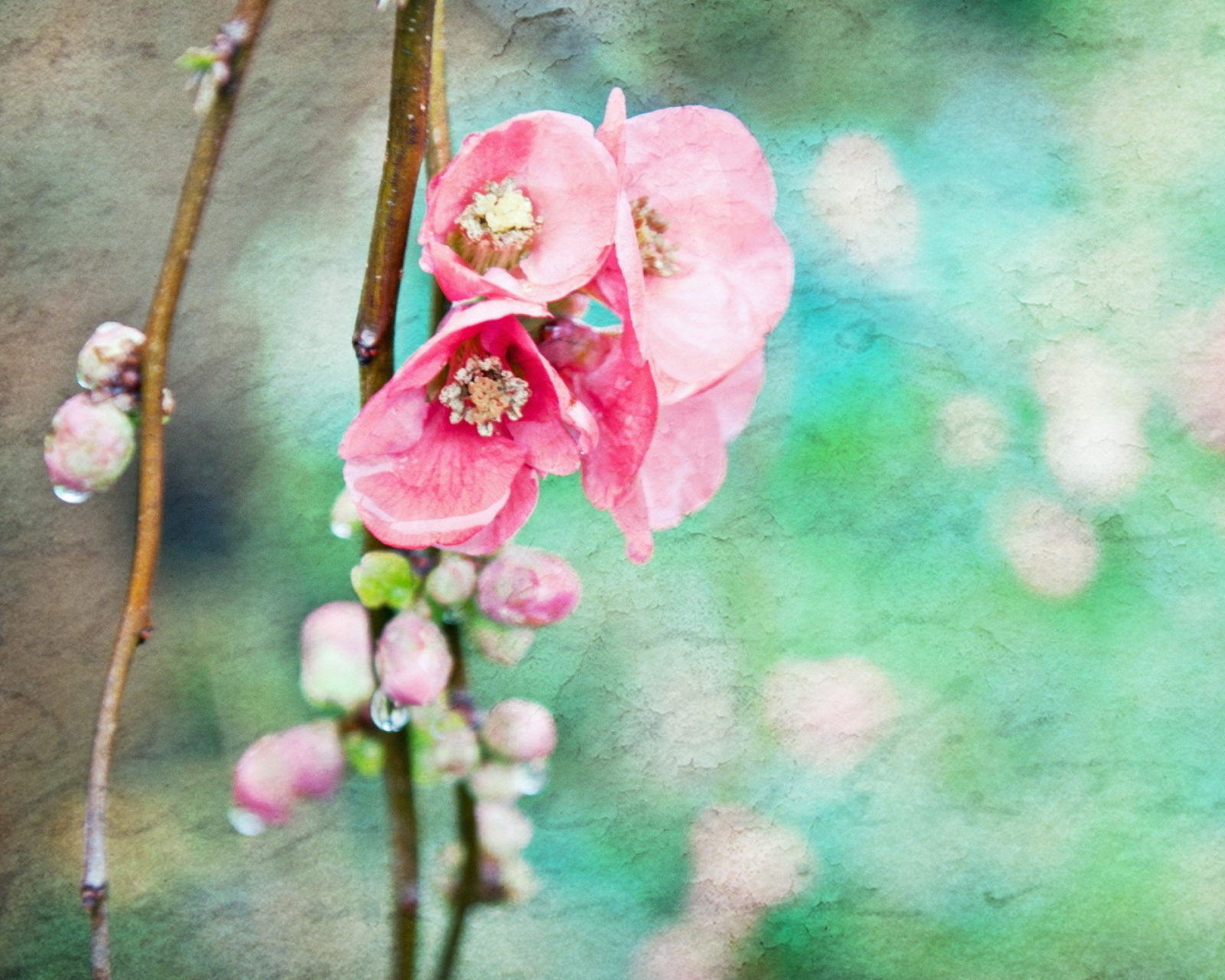 Screenshot №1 pro téma Spring Flowers Vintage Effect 1600x1280