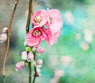 Spring Flowers Vintage Effect sfondi gratuiti per iPad mini