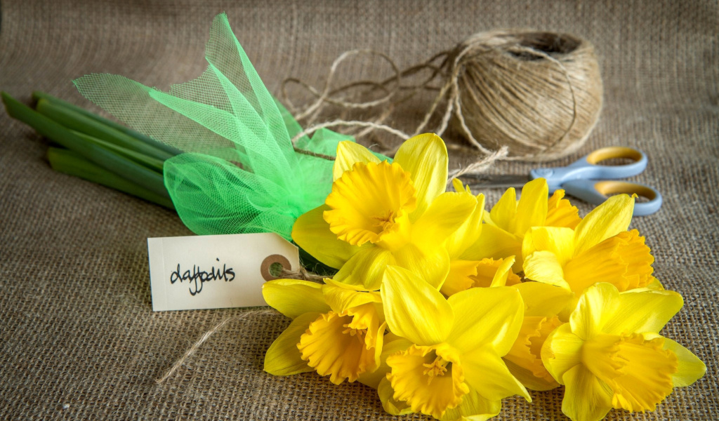 Das Daffodils bouquet Wallpaper 1024x600