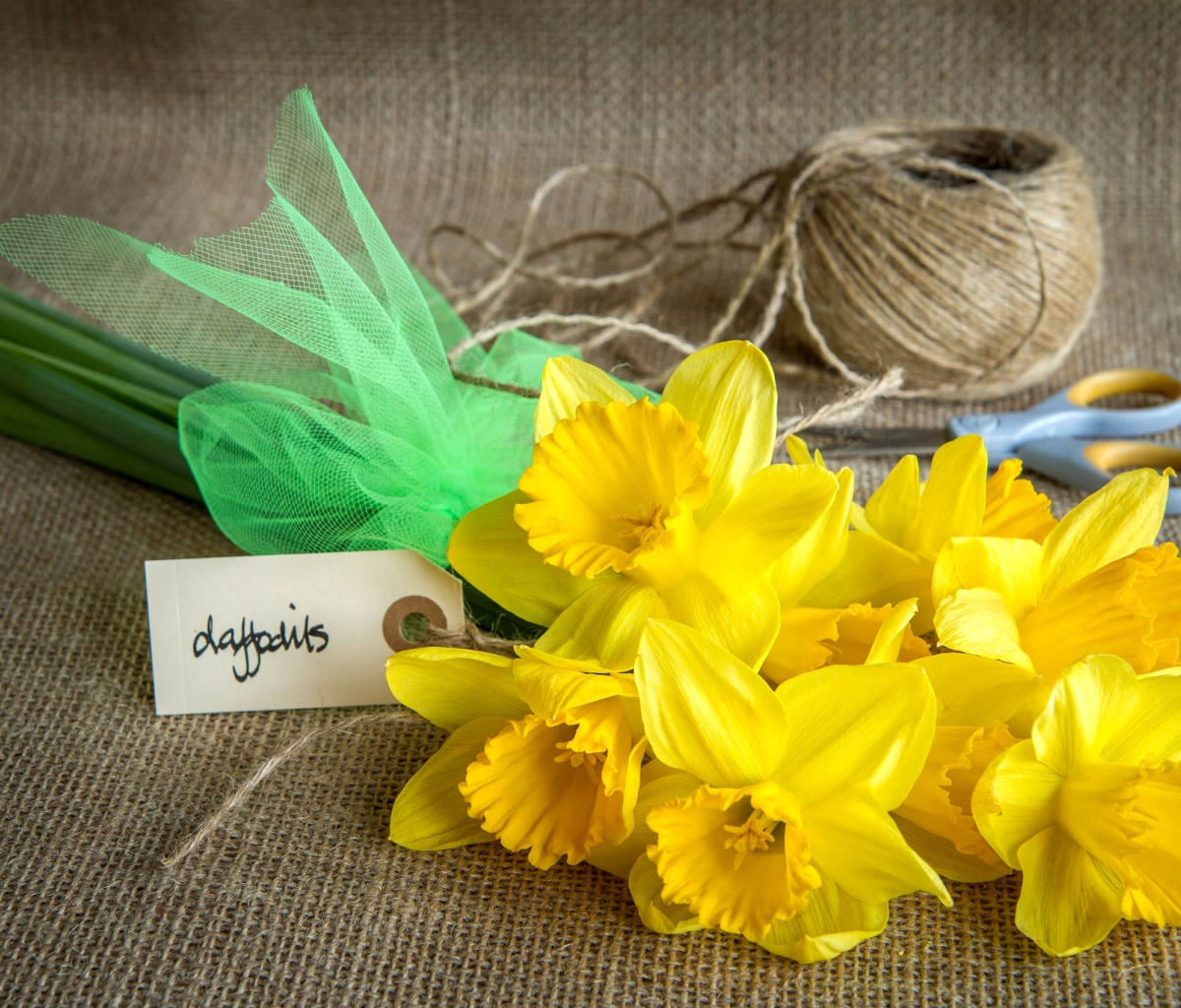 Daffodils bouquet wallpaper 1200x1024