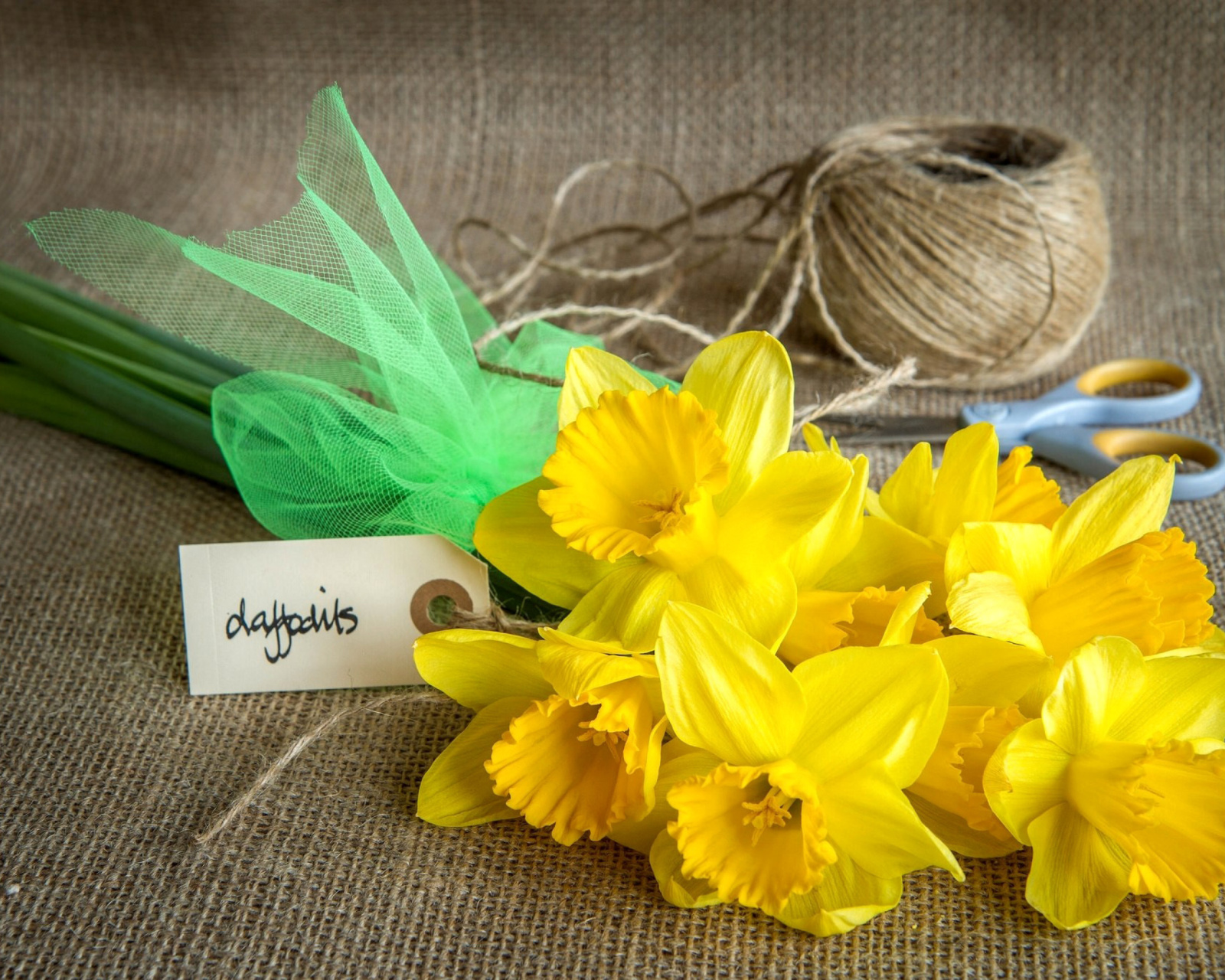 Daffodils bouquet wallpaper 1600x1280