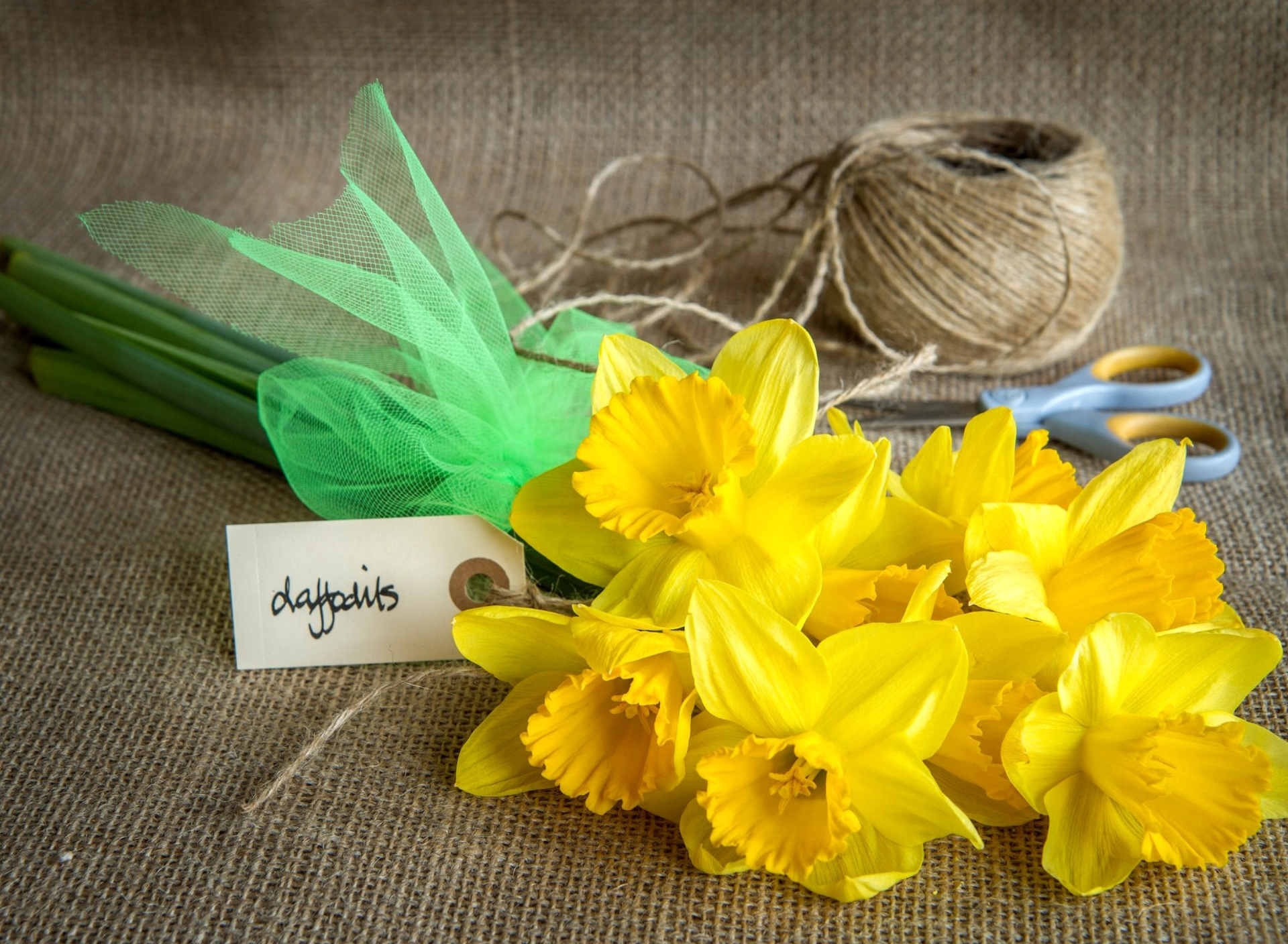 Обои Daffodils bouquet 1920x1408
