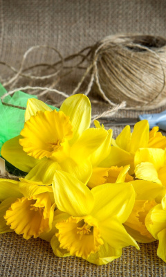 Daffodils bouquet wallpaper 240x400