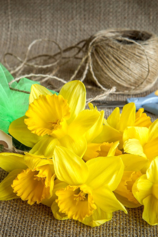 Fondo de pantalla Daffodils bouquet 320x480