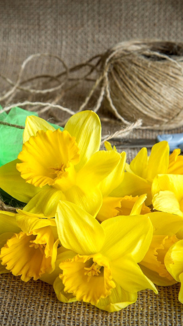 Fondo de pantalla Daffodils bouquet 360x640
