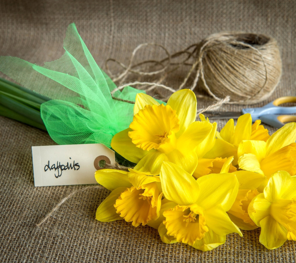 Daffodils bouquet wallpaper 960x854
