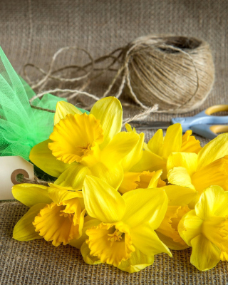 Free Daffodils bouquet Picture for 240x320