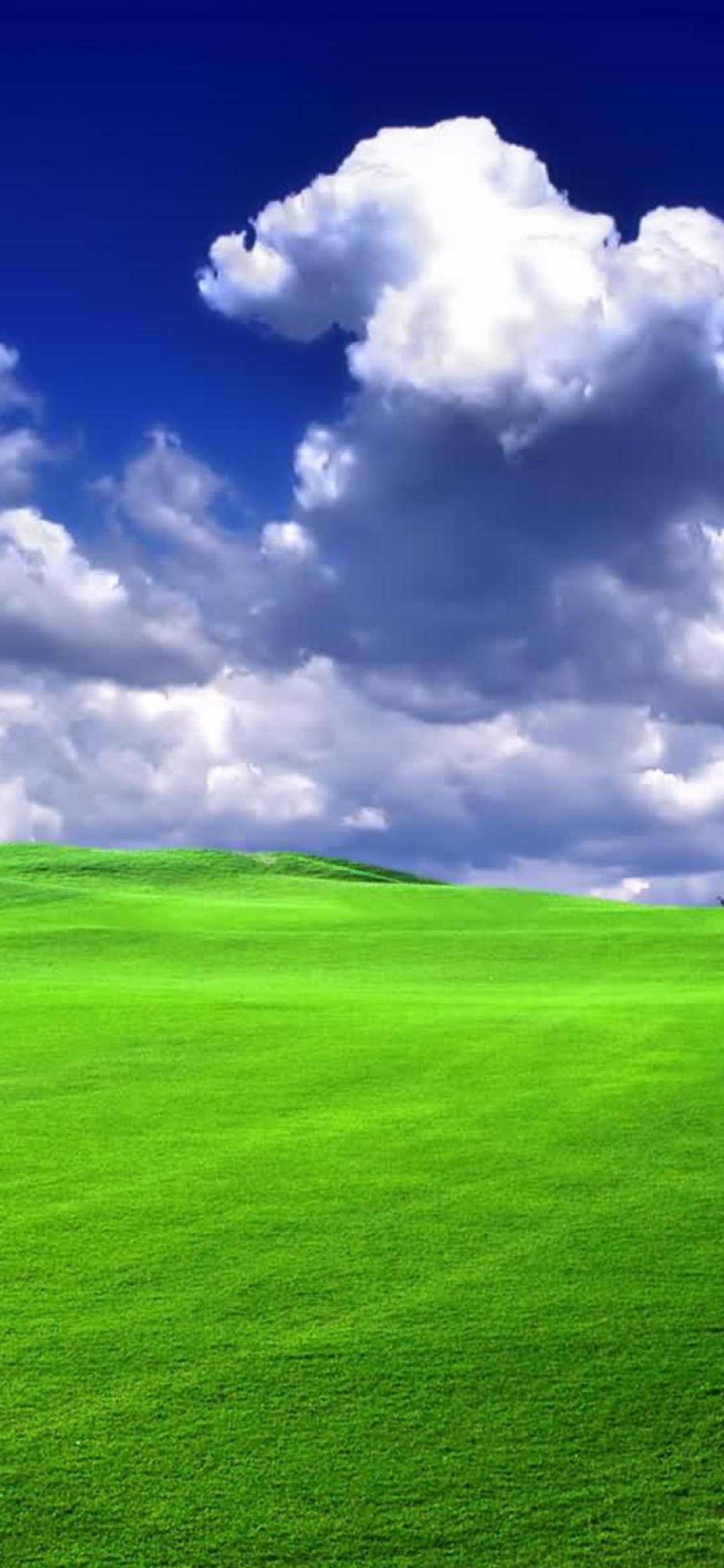 Das Windows XP Sky Wallpaper 1170x2532