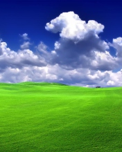 Windows XP Sky wallpaper 176x220