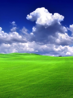 Das Windows XP Sky Wallpaper 240x320