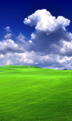 Fondo de pantalla Windows XP Sky 240x400