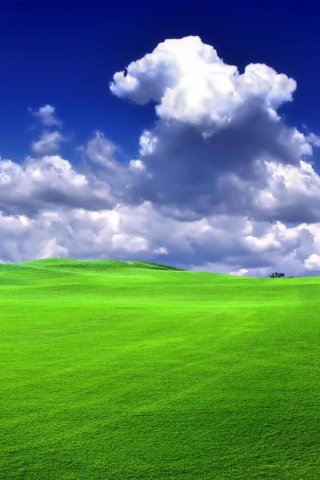 Windows XP Sky wallpaper 320x480