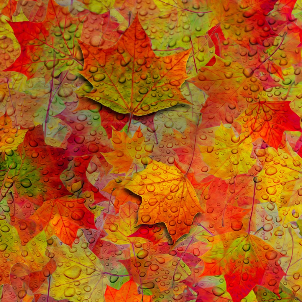 Fondo de pantalla Abstract Fall Leaves 1024x1024