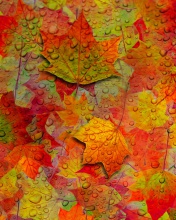 Das Abstract Fall Leaves Wallpaper 176x220