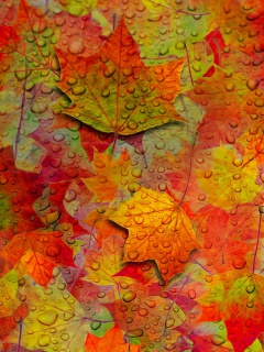 Обои Abstract Fall Leaves 240x320