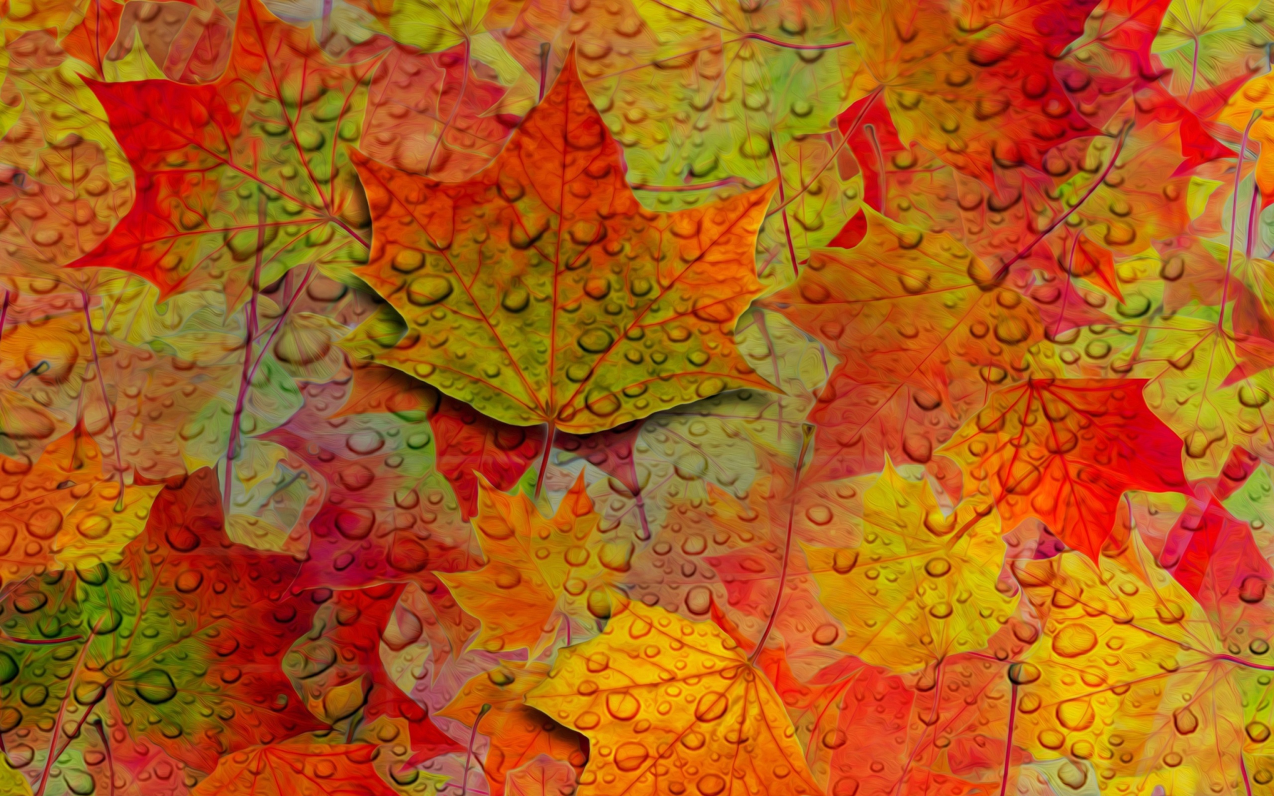 Das Abstract Fall Leaves Wallpaper 2560x1600