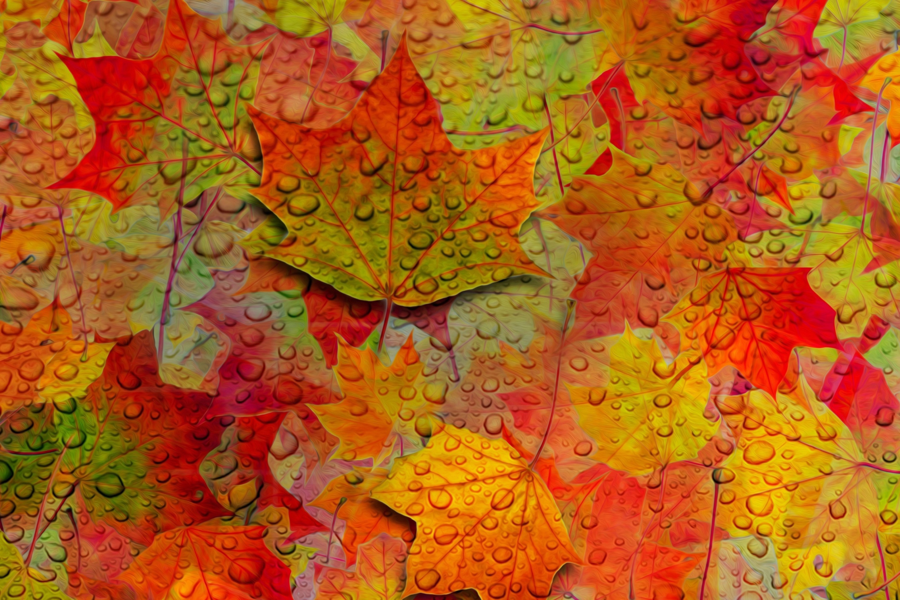 Обои Abstract Fall Leaves 2880x1920