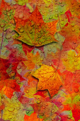 Abstract Fall Leaves wallpaper 320x480