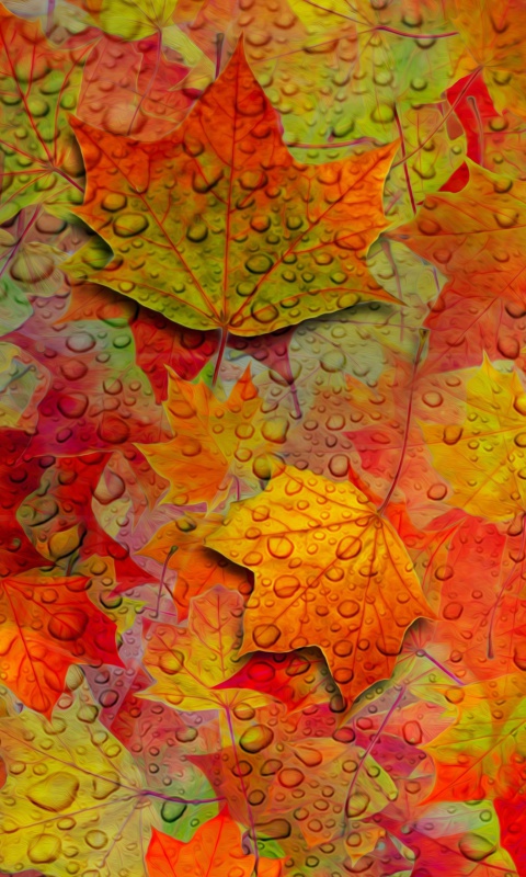 Das Abstract Fall Leaves Wallpaper 480x800