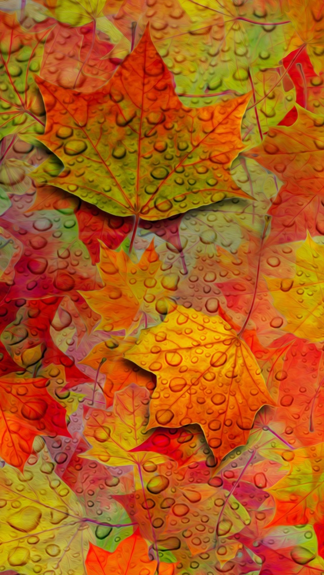 Das Abstract Fall Leaves Wallpaper 640x1136