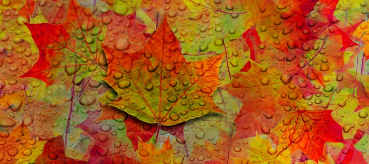 Обои Abstract Fall Leaves 720x320