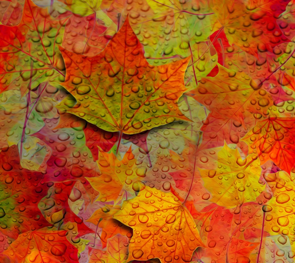 Das Abstract Fall Leaves Wallpaper 960x854