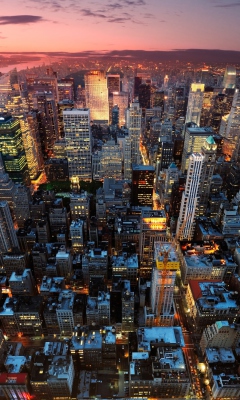 Manhattan, NYC screenshot #1 240x400