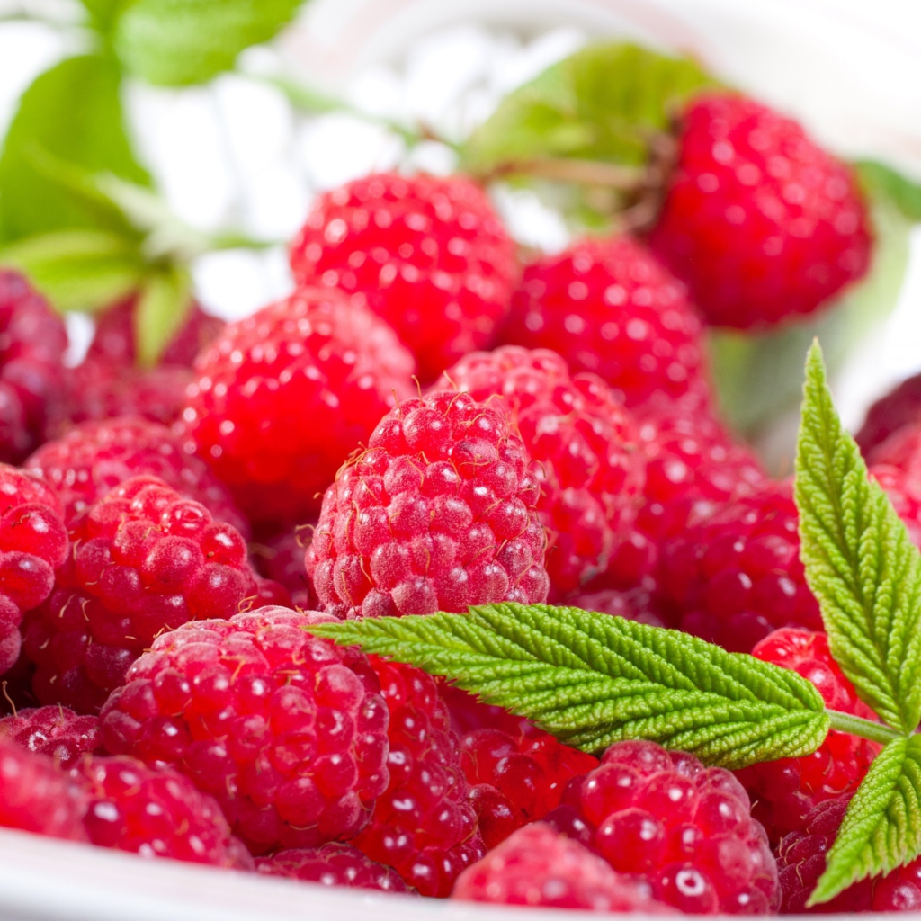 Das Plate Of Raspberries Wallpaper 1024x1024