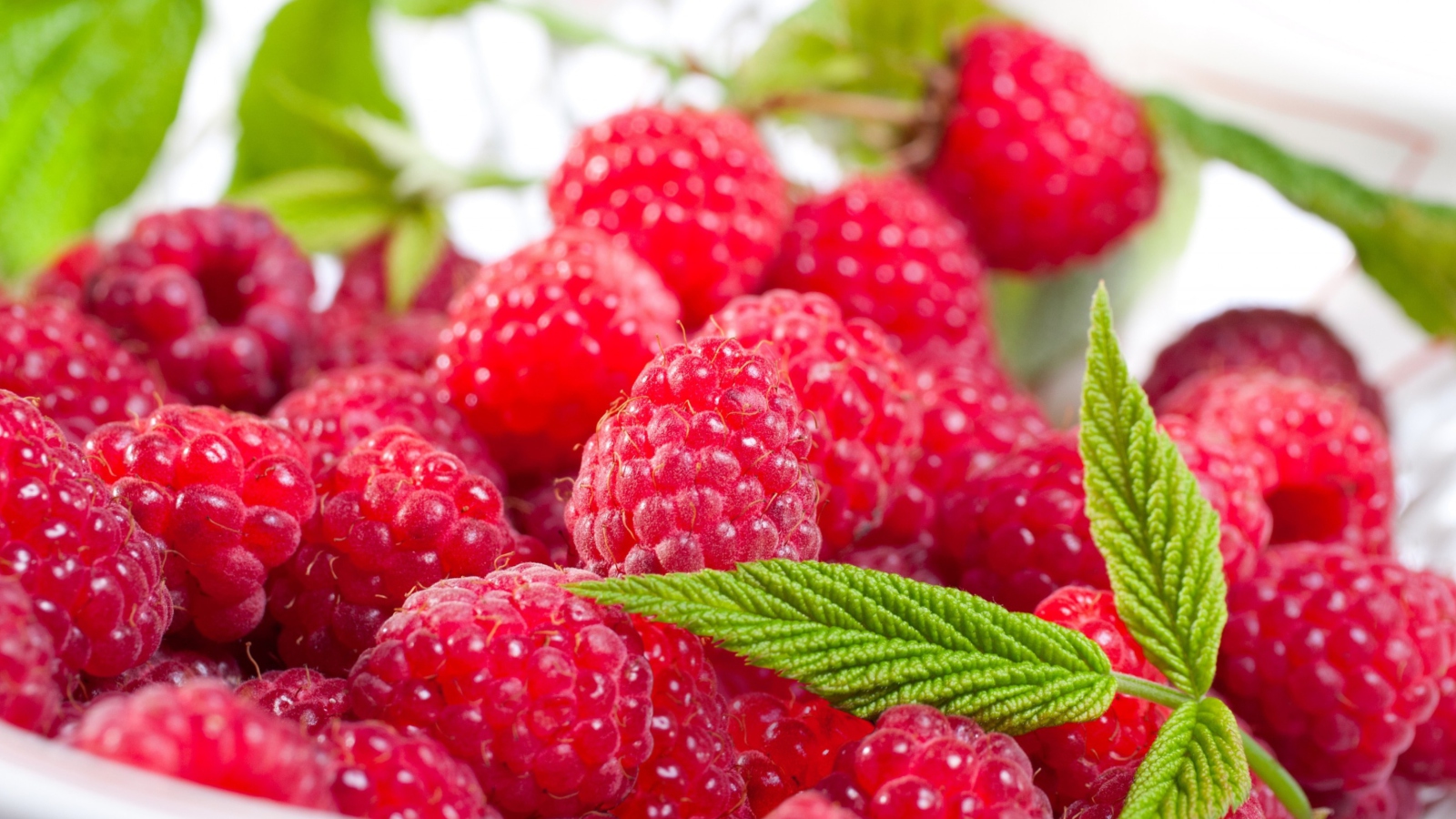 Plate Of Raspberries screenshot #1 1600x900