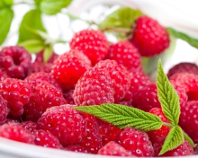 Plate Of Raspberries screenshot #1 220x176