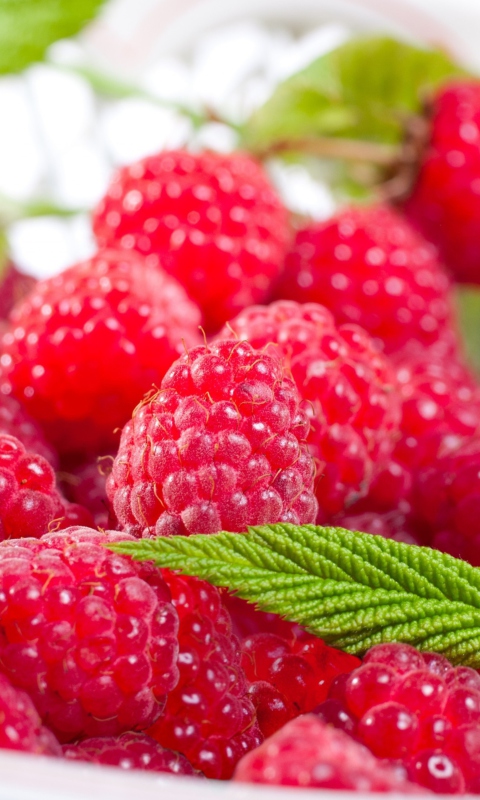 Plate Of Raspberries screenshot #1 480x800