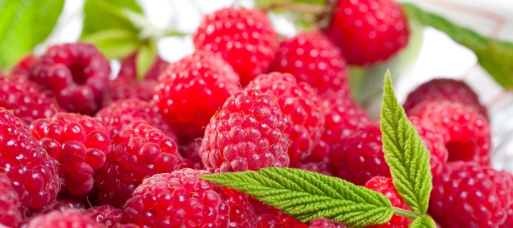 Screenshot №1 pro téma Plate Of Raspberries 720x320