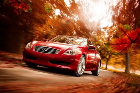 Infiniti Autumn screenshot #1 480x320