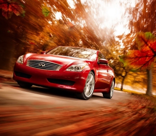 Infiniti Autumn Background for 1024x1024