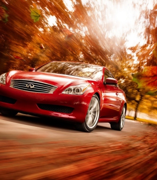 Infiniti Autumn - Obrázkek zdarma pro Nokia C2-03