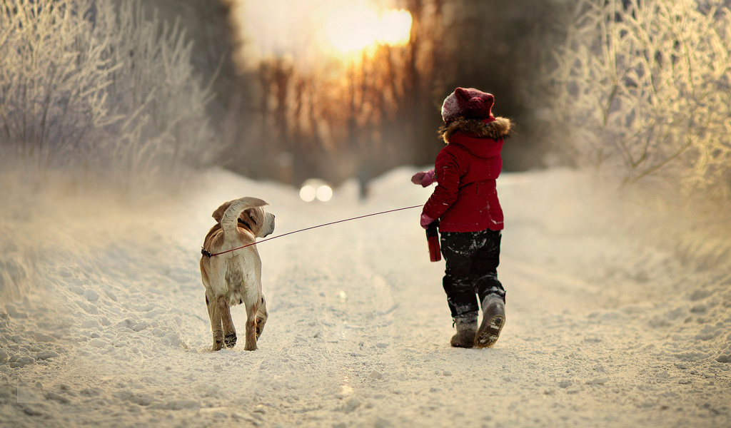 Das Winter Walking with Dog Wallpaper 1024x600