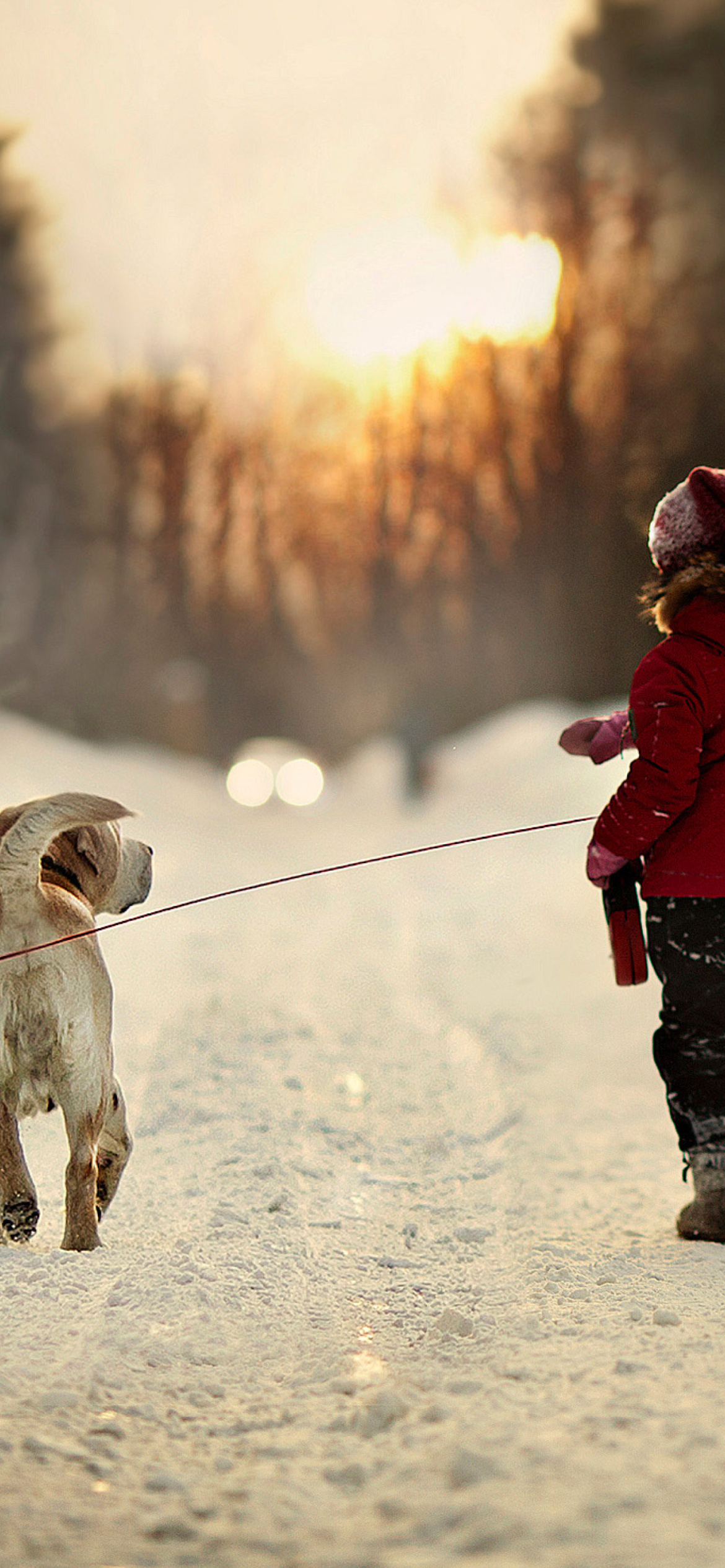Das Winter Walking with Dog Wallpaper 1170x2532