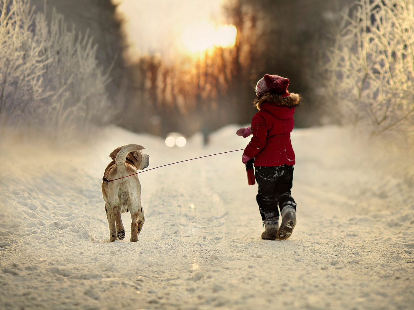 Fondo de pantalla Winter Walking with Dog 1400x1050