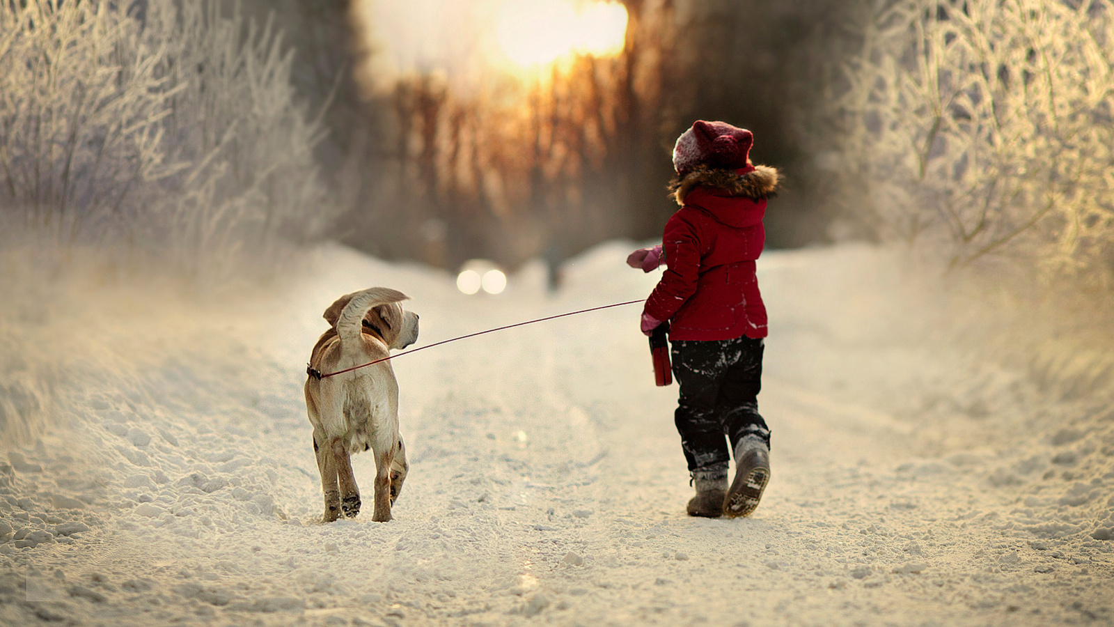 Winter Walking with Dog screenshot #1 1600x900
