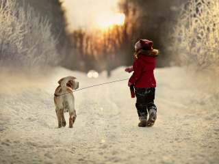 Das Winter Walking with Dog Wallpaper 320x240